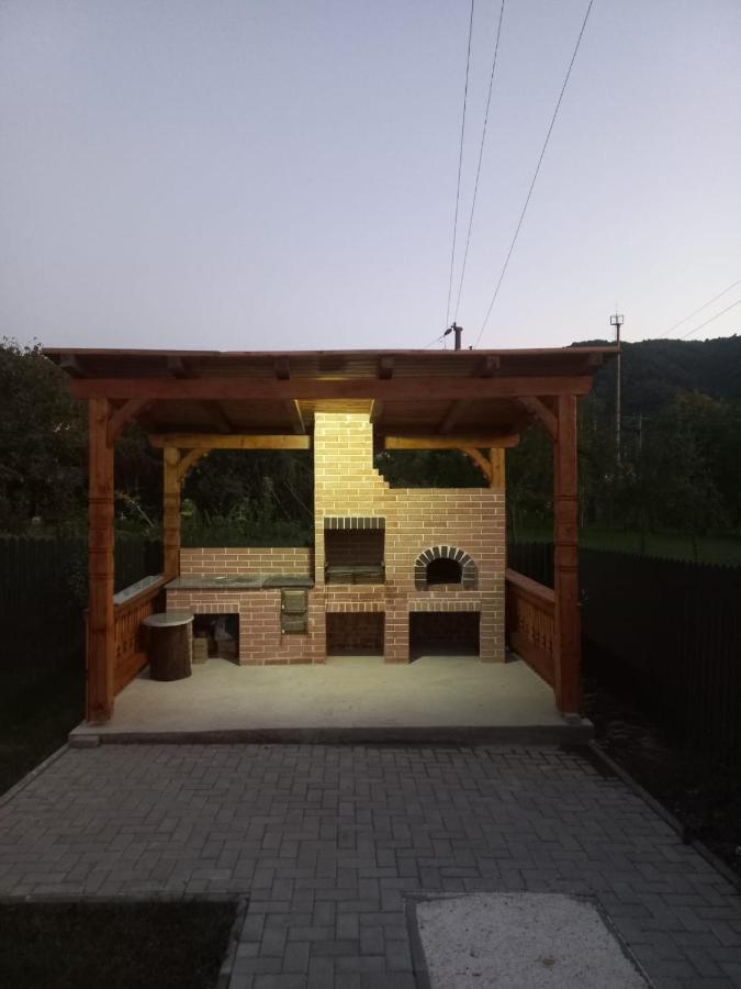 Casa Edy Villa Viseu de Sus Ngoại thất bức ảnh